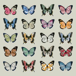 Papillon, 2008 (cyfrowy)