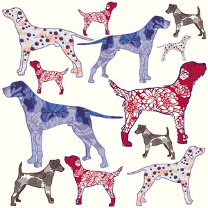 Topdogs, 2005 (cyfrowy)