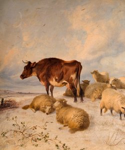 Krowy i owce w Snowscape, 1864