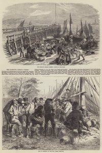 Łowisko śledzia w Yarmouth