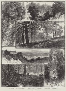 Szkice w Highgate Woods