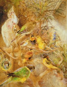 Woliera dla ptaków, 1871