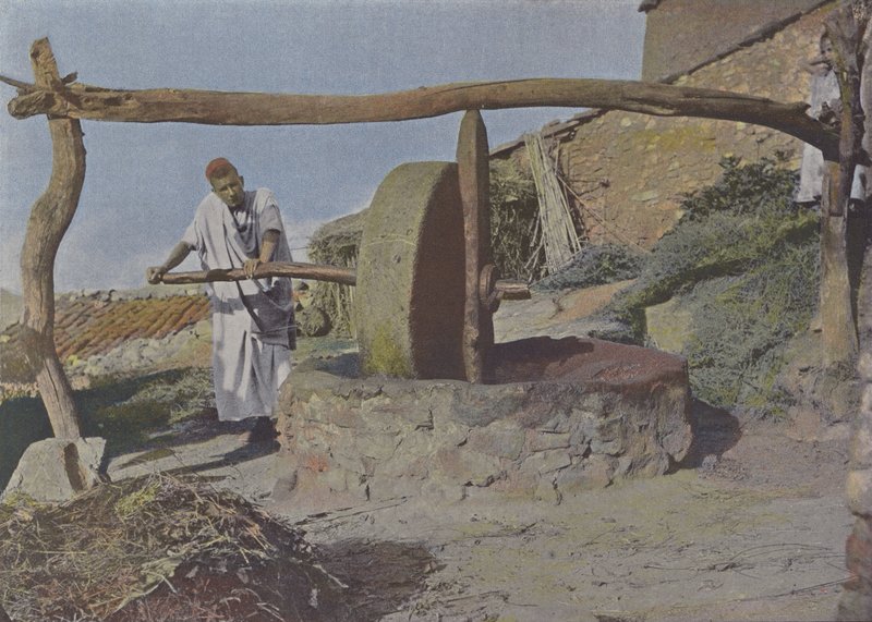 Arabski Młyn (kolorowe zdjęcie) autorstwa (after) French Photographer