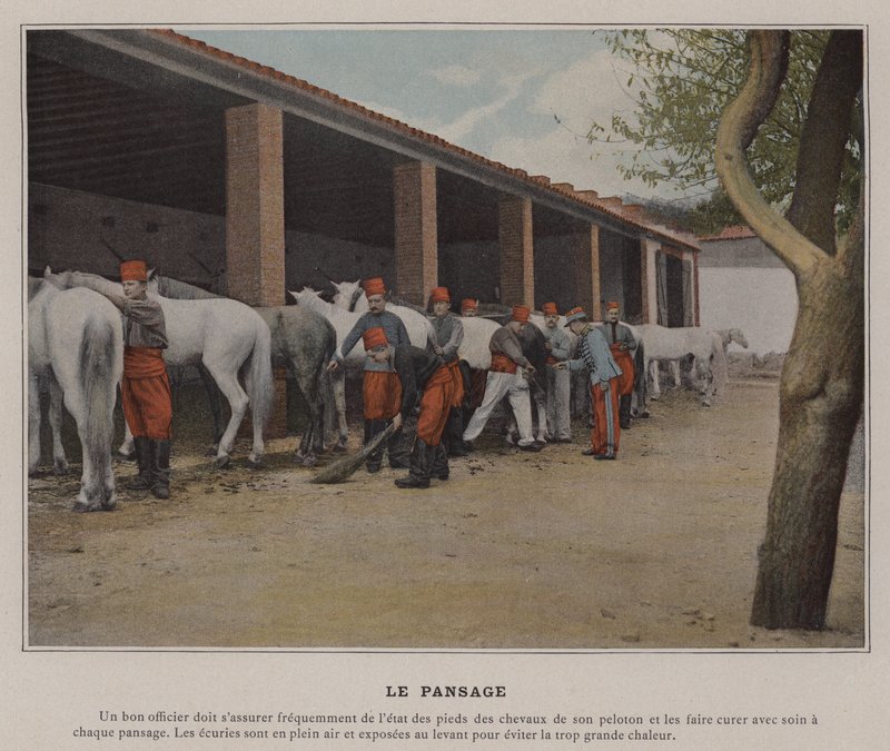 Pielęgnacja (kolorowe zdjęcie) autorstwa (after) French Photographer