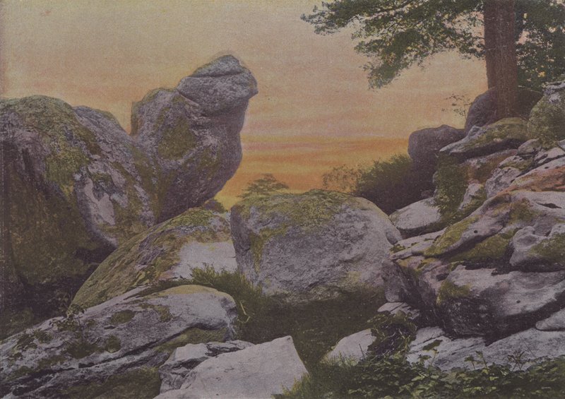 Rochers du mont Ussy (kolorowe zdjęcie) autorstwa (after) French Photographer