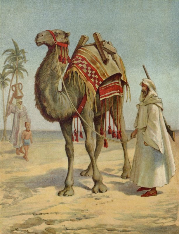 Arabski kupiec autorstwa English School