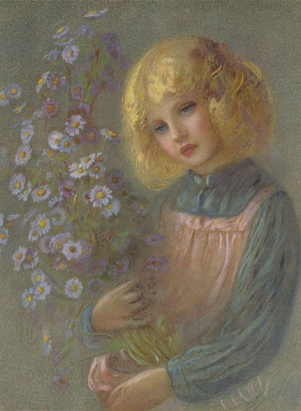 Stokrotki Michaelmas autorstwa English School