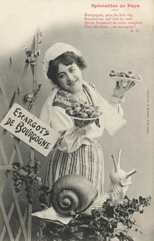 Ślimaki burgundowe autorstwa French Photographer