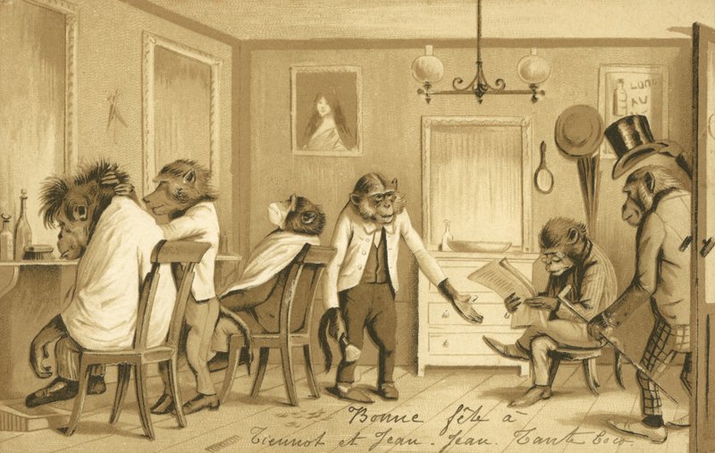 Małpa prowadząca salon fryzjerski autorstwa French School