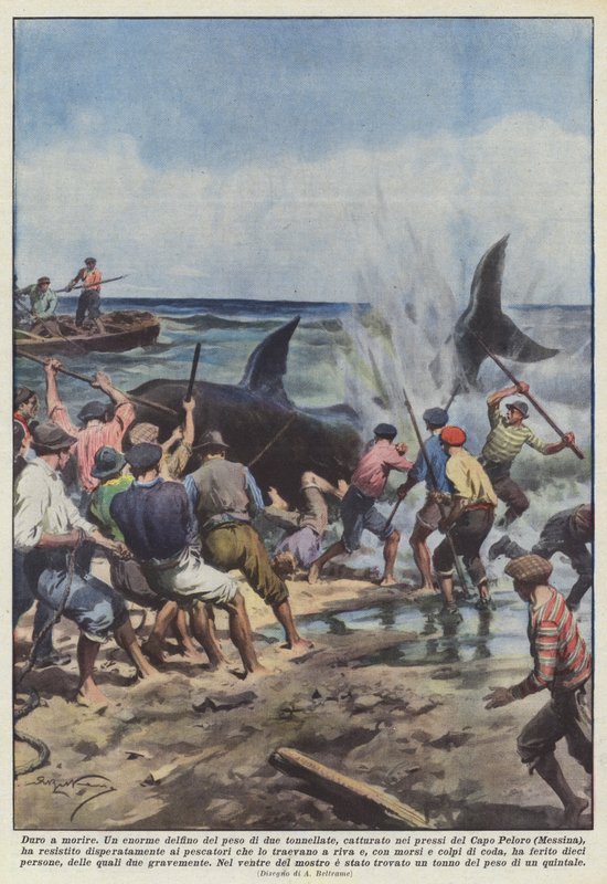 Die Hard autorstwa Achille Beltrame