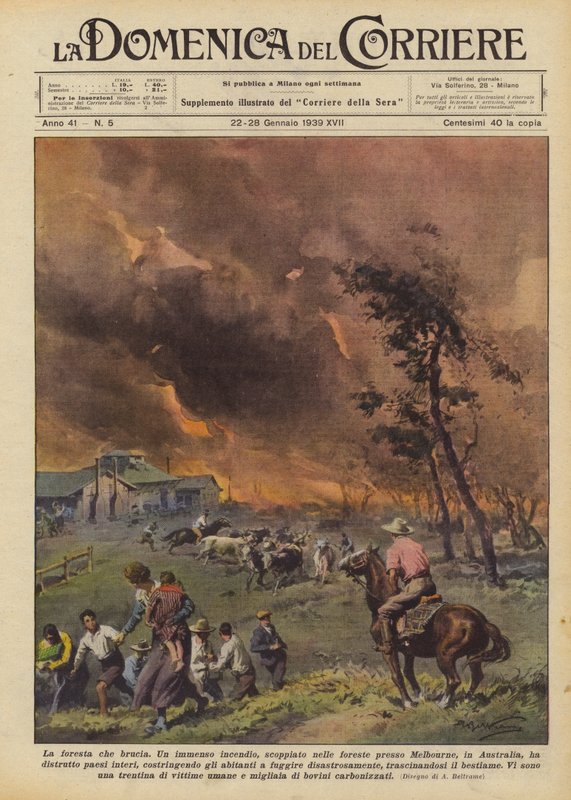 Płonący las autorstwa Achille Beltrame