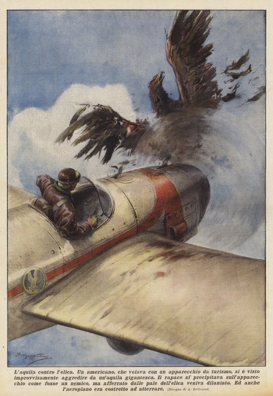 Orzeł kontra śmigło autorstwa Achille Beltrame