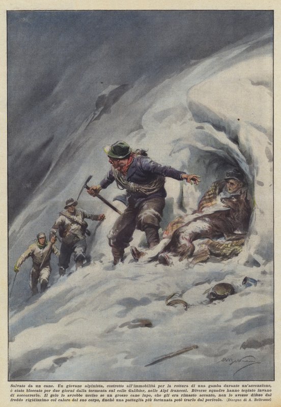 Uratowany przez psa autorstwa Achille Beltrame