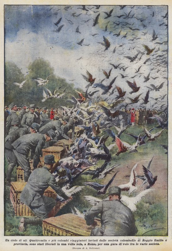 Niebo skrzydeł autorstwa Achille Beltrame