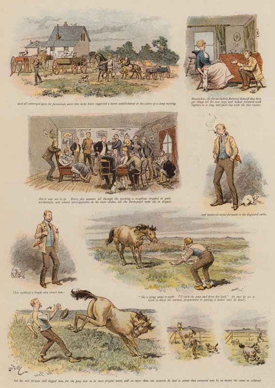 Piękno na dalekim zachodzie (chromolitho) autorstwa Adrien Emmanuel Marie