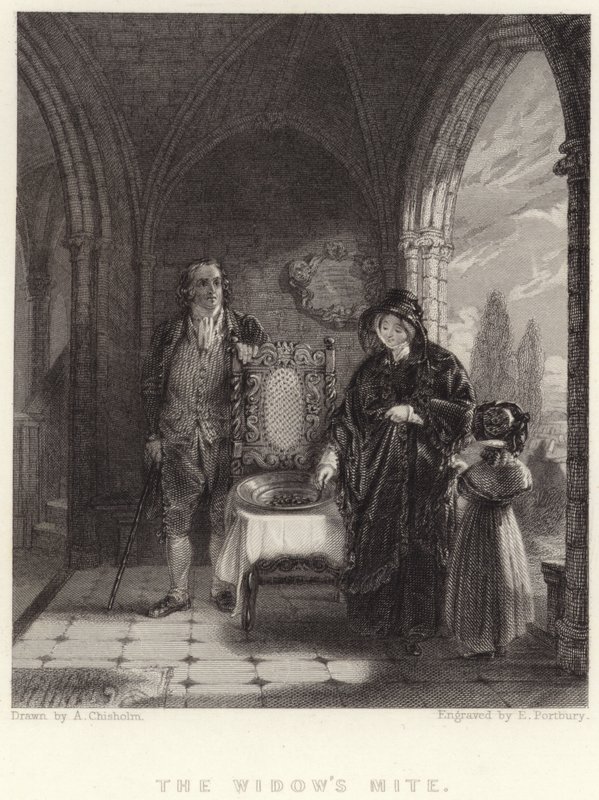 Roztocz wdowy (grawerunek) autorstwa Alexander (after) Chisholm