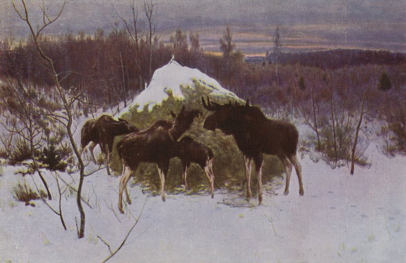 Stado Ełku, 1889 autorstwa Alexei Steipanovitch Stepanov