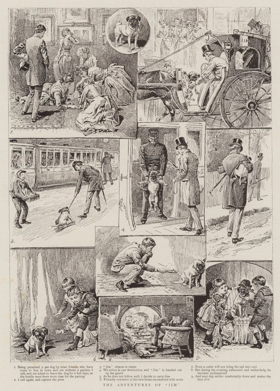 Przygody Jima autorstwa Alfred Chantrey Corbould
