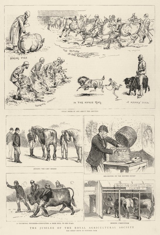 Jubileusz Królewskiego Towarzystwa Rolniczego autorstwa Alfred Chantrey Corbould