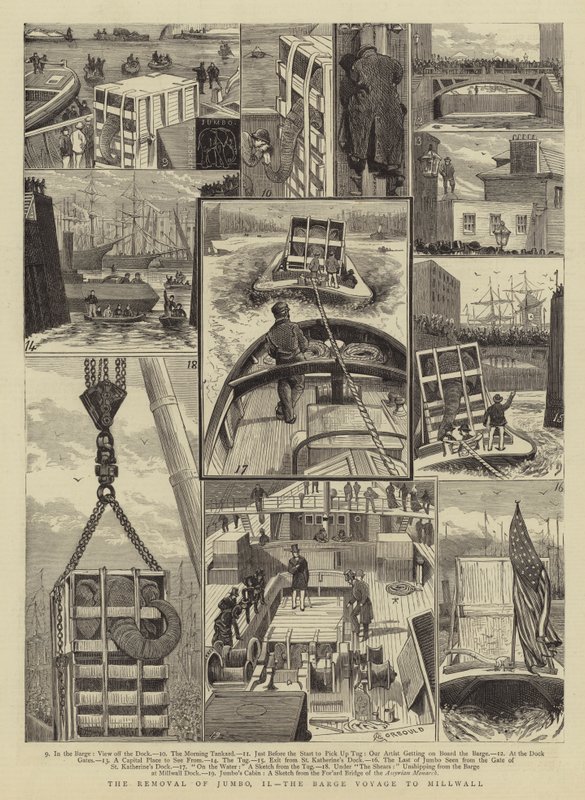 Usunięcie Jumbo, II, rejsu barką do Millwall autorstwa Alfred Chantrey Corbould
