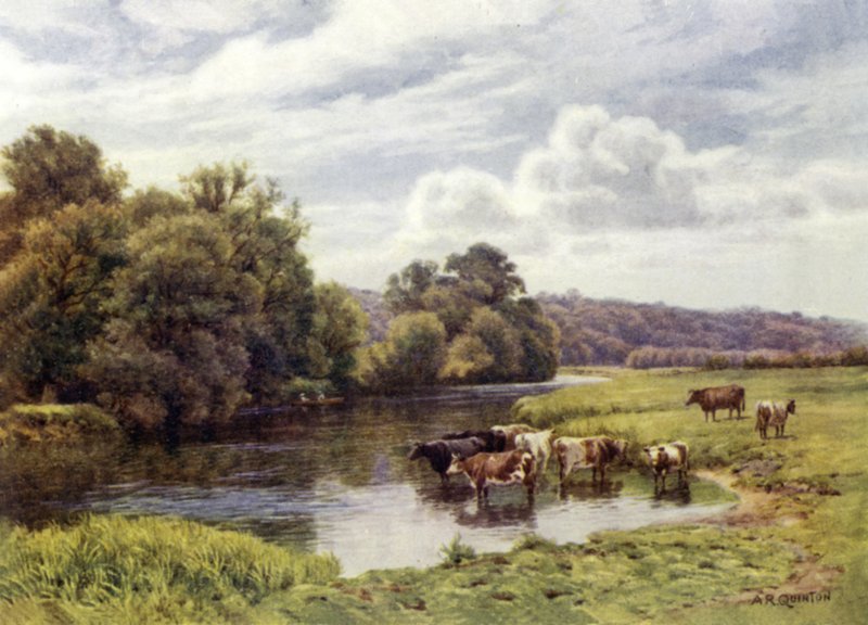 Park Nuneham autorstwa Alfred Robert Quinton