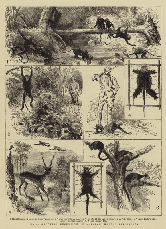 Indie, Shooting Excursion w Malabar, Madras Prezydencja autorstwa Alfred W. Cooper