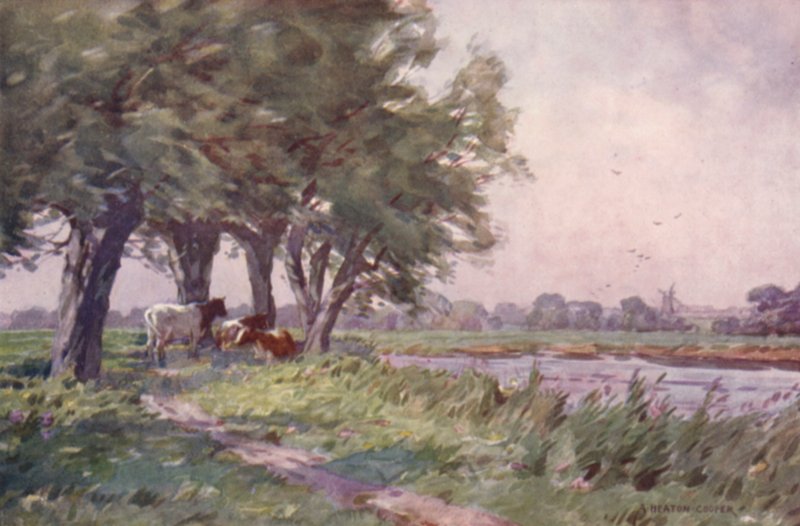 Południe na Stour, Suffolk autorstwa Alfred Heaton Cooper