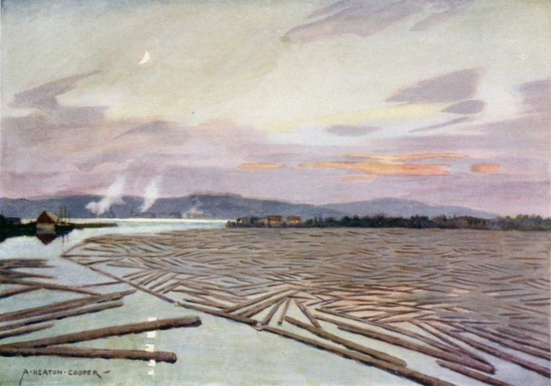 Drewno na rzece Angerman, Harnosand autorstwa Alfred Heaton Cooper