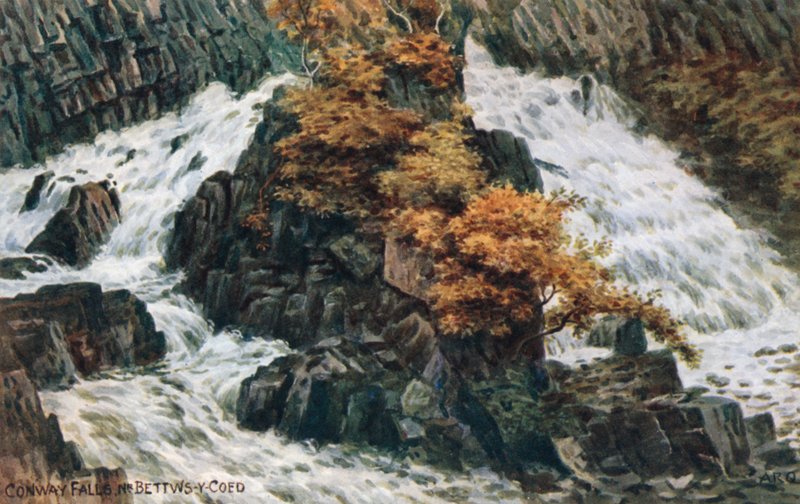 Conway Falls, Nr Bettws-y-Coed autorstwa Alfred Robert Quinton