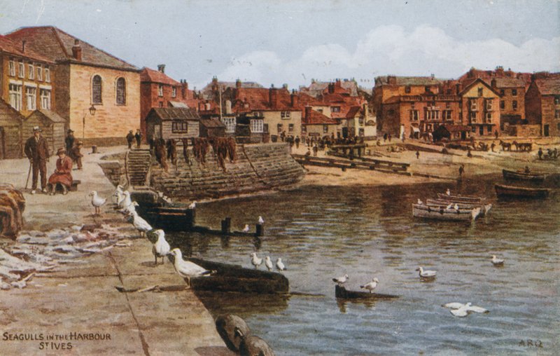 Mewy w porcie, St Ives autorstwa Alfred Robert Quinton