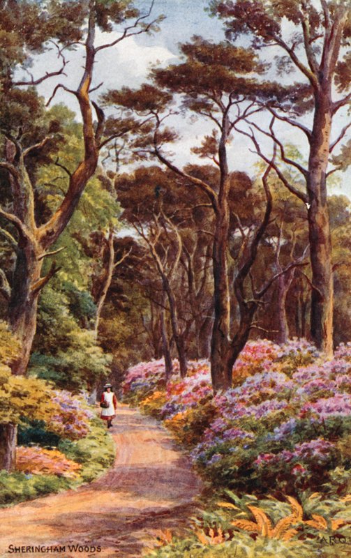 Las Sheringham autorstwa Alfred Robert Quinton