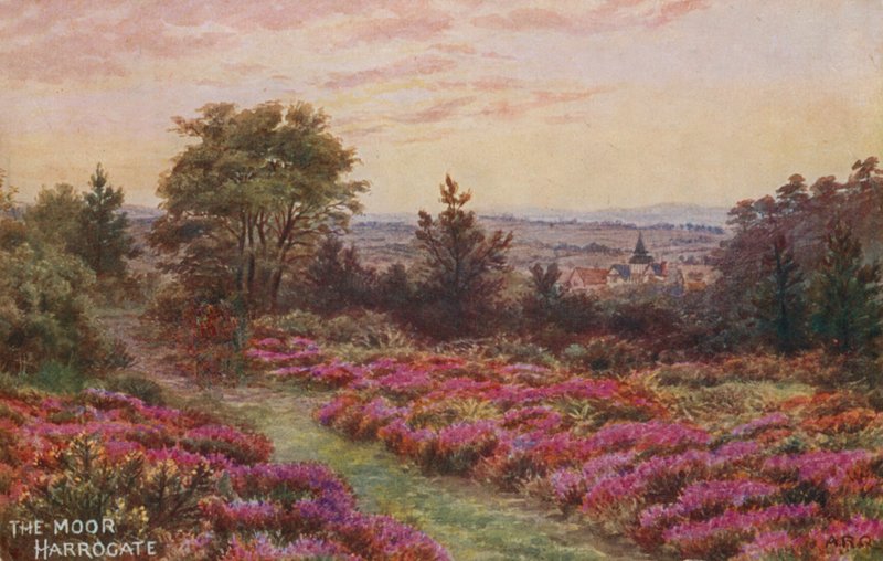 Maur, Harrogate autorstwa Alfred Robert Quinton
