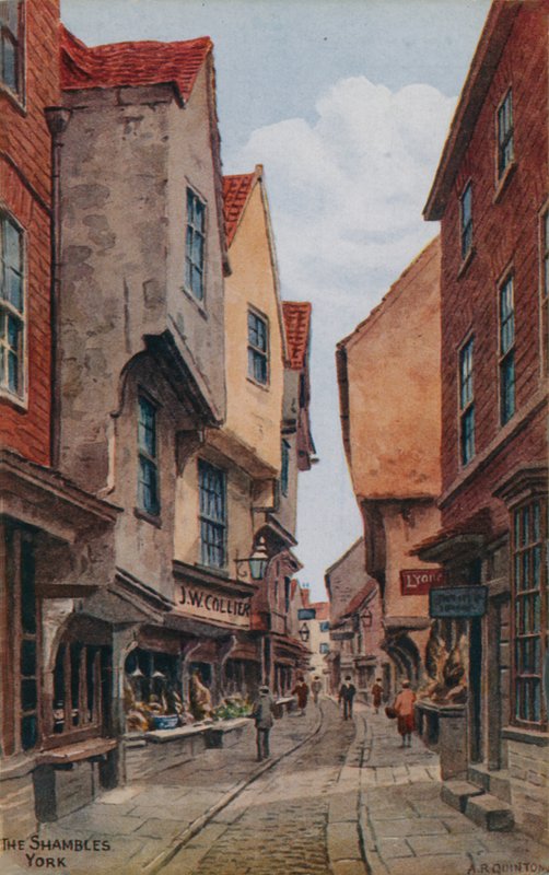 Jaszczurki, York autorstwa Alfred Robert Quinton