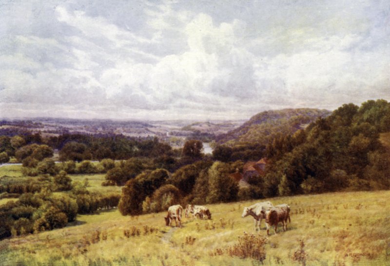 Dolina Tamizy z Hennerton, Henley autorstwa Alfred Robert Quinton