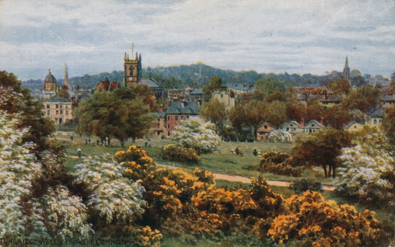 Tunbridge Wells z The Common autorstwa Alfred Robert Quinton