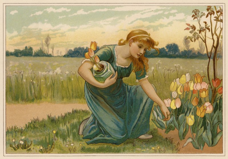 Stokrotka (chromolit) autorstwa Alice Havers