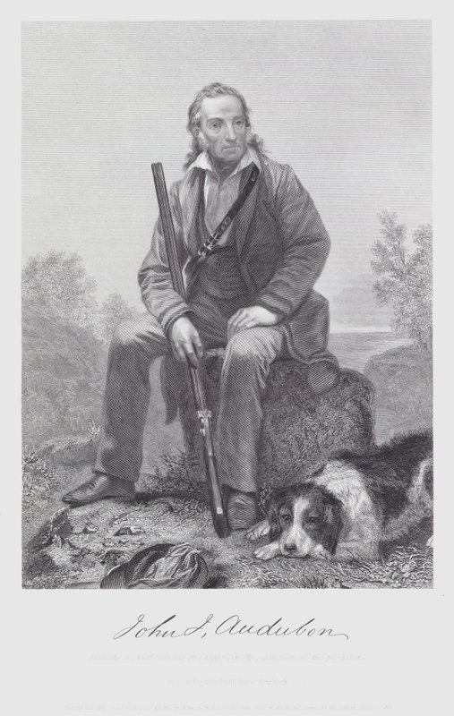 John James Audubon (grafika) autorstwa Alonzo (after) Chappel