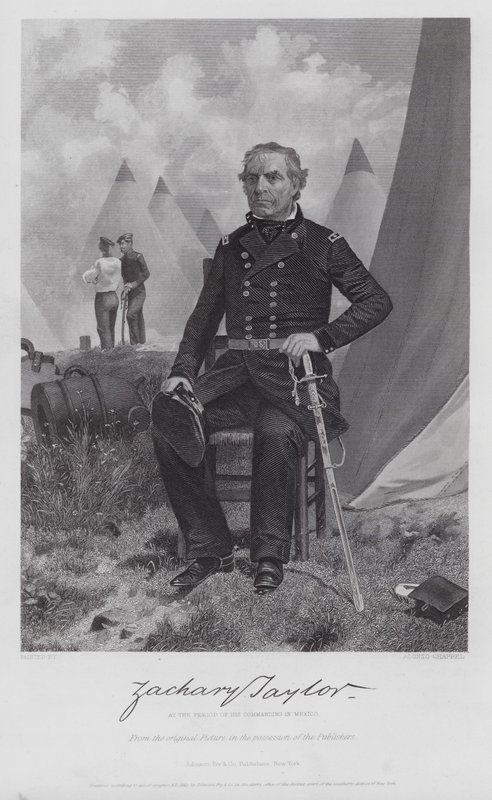 Zachary Taylor (grafika) autorstwa Alonzo (after) Chappel