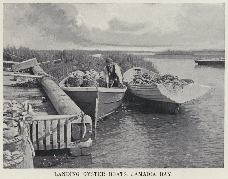 Landing Oyster Boats, Jamaica Bay (zdjęcie czarno-białe) autorstwa American Photographer