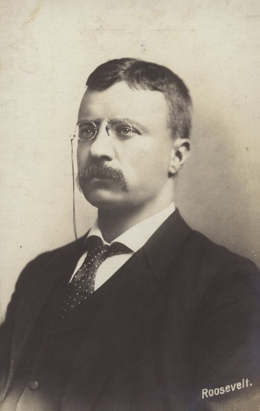 Roosevelta autorstwa American Photographer