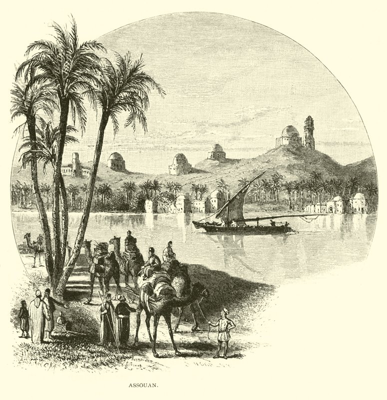 Asuan autorstwa American School