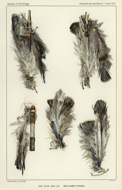 Ha-Cha-Mo-Ni with plumes attached autorstwa American School