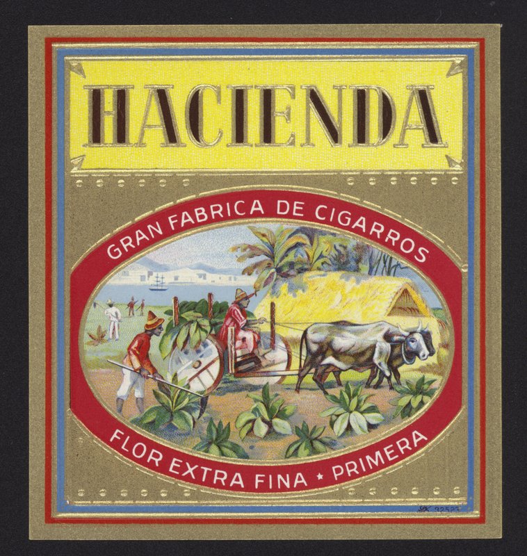 Hacjenda autorstwa American School