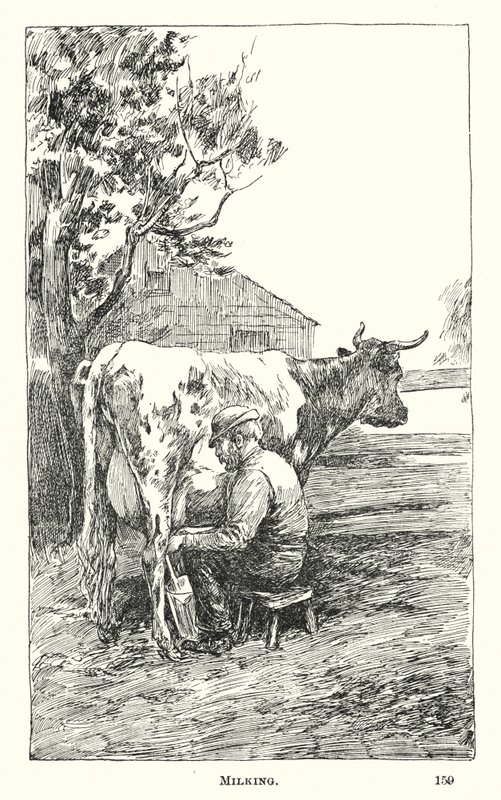 Dojenie (grawerowanie) autorstwa American School