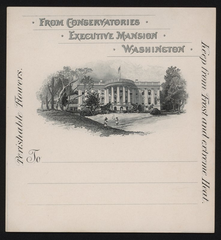 Biały Dom, Waszyngton DC, USA (lito) autorstwa American School