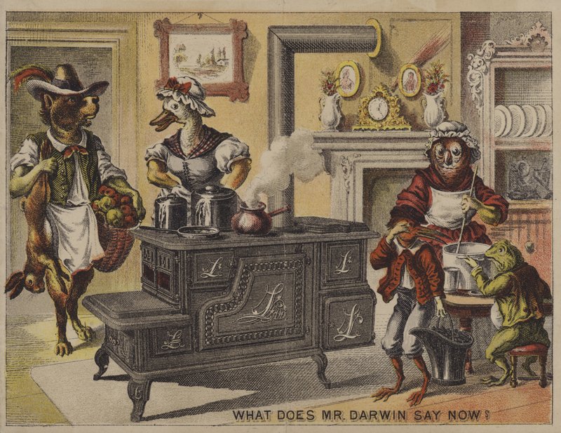 Co teraz mówi pan Darwin? (chromolit) autorstwa American School