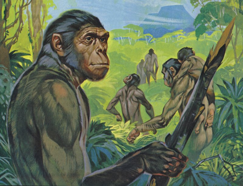 Pithecanthropus (litografia kolorowa) autorstwa Angus McBride