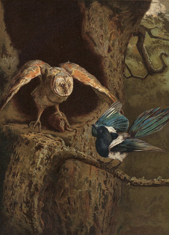 Dowcip i mądrość autorstwa Arthur Charles Dodd