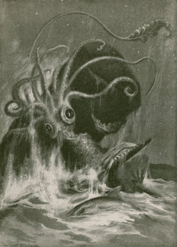 Kraken kontra Kaszalot autorstwa Arthur Twidle