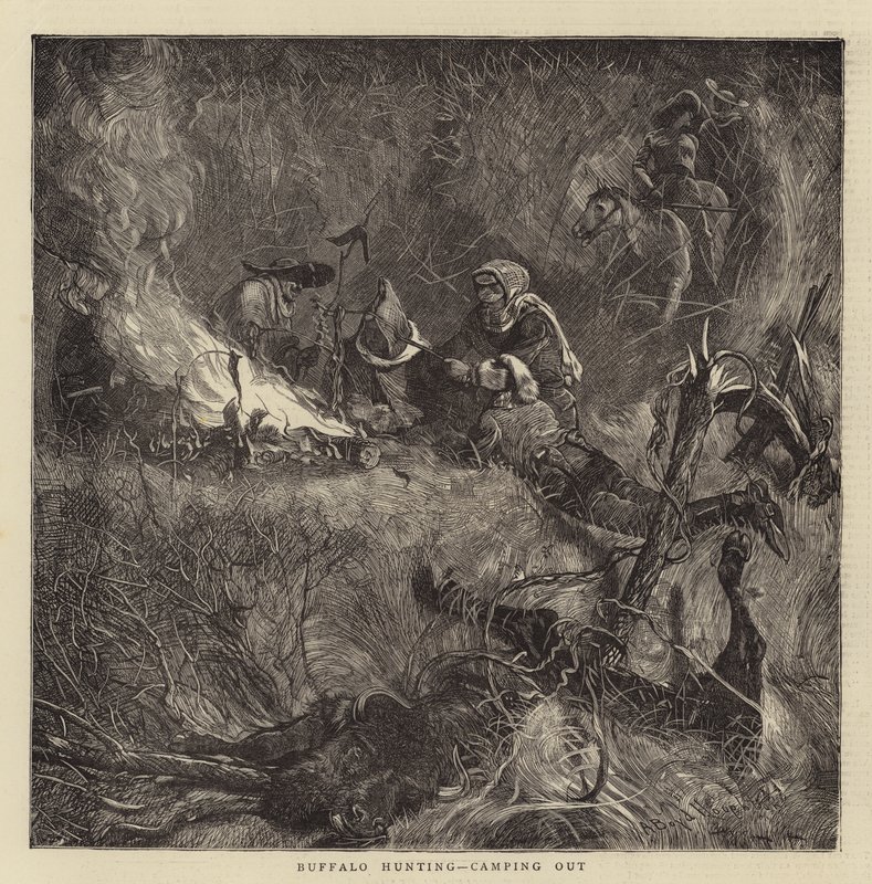 Polowanie na bawoły, biwakowanie autorstwa Arthur Boyd Houghton
